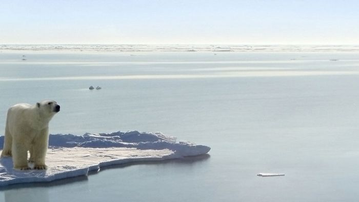 Klimawandel: Arktis im Sommer bald eisfrei?