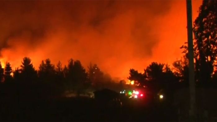 Chile: Größtes Waldbrand-Desaster der Geschichte