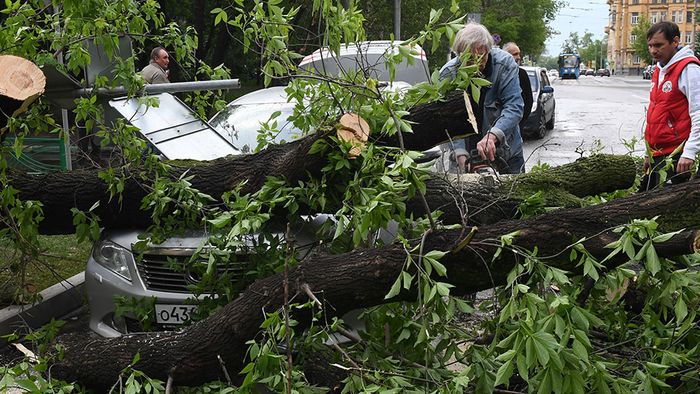 Orkan in Moskau fordert zahlreiche Todesopfer