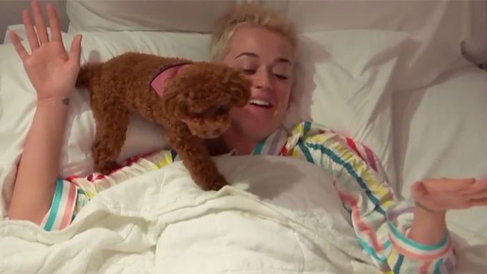 Katy Perry intim: Sängerin plaudert über Sex und Suizid