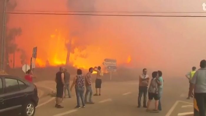 Waldbrand in Portugal fordert viele Todesopfer