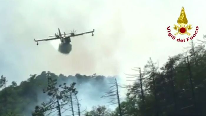 Italien: Verzweifelter Kampf gegen Waldbrände