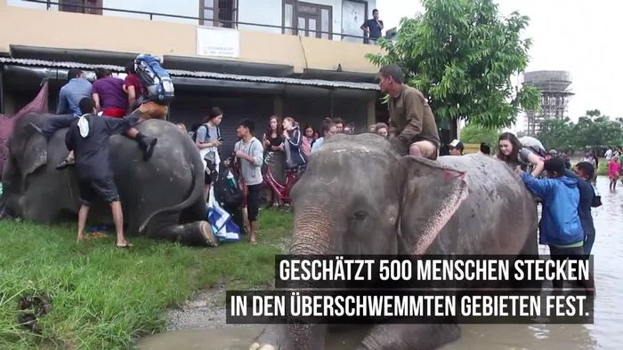 Überschwemmungen in Nepal: Elefanten retten 300 Touristen