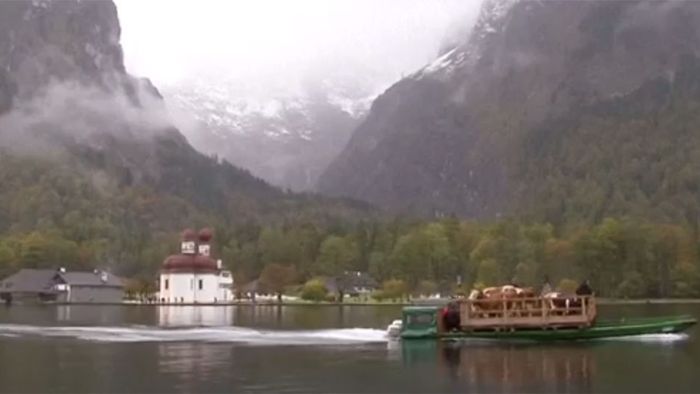 Per Boot: Spektakulärer Almabtrieb am Königssee