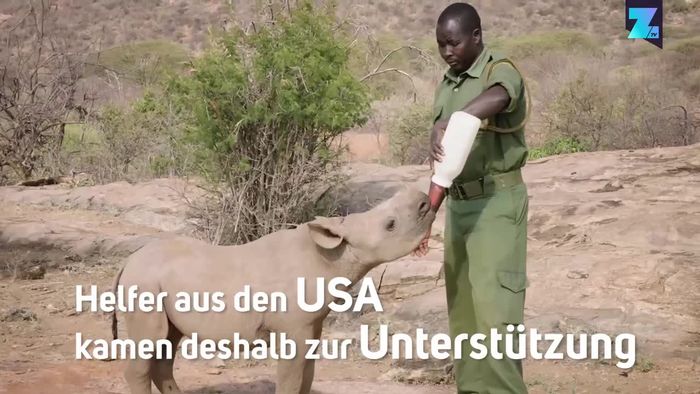 Viele Neuzugänge 2017: Gerettete Elefanten-Waisen
