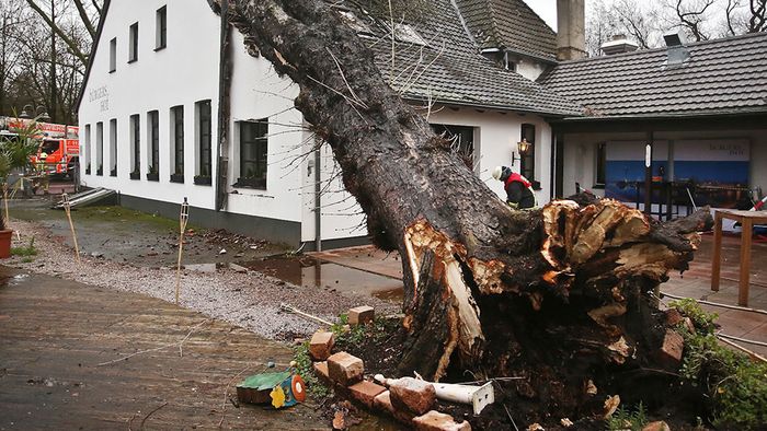 Orkan BURGLIND: So hart wurde NRW getroffen