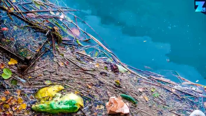 Die Plastik-Suppe: Forscher kämpfen gegen Müll im Meer