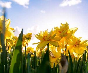 Wetter März 2026: Wie wird der erste Frühlingsmonat?