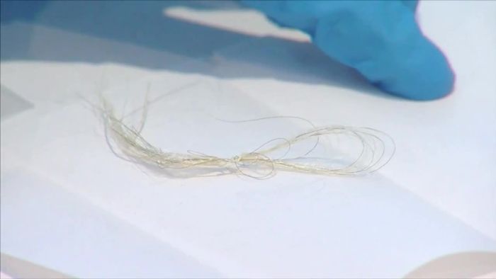 Haare von George Washington in Bibliothek entdeckt