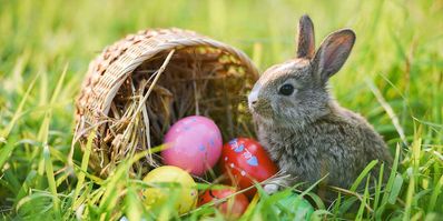 Ostern 2019 Wettervorhersage Datum Und Bedeutung Wetter Com