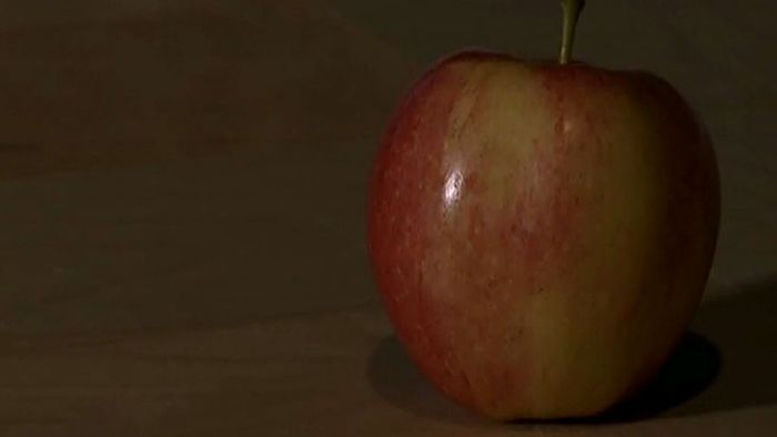 Teurer Flug: 500 Dollar Strafe für einen Apfel