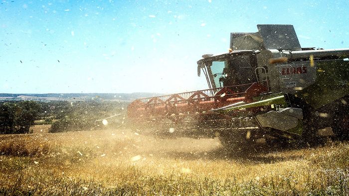 Kais Kolumne: So eingefahren ist die Wetterlage