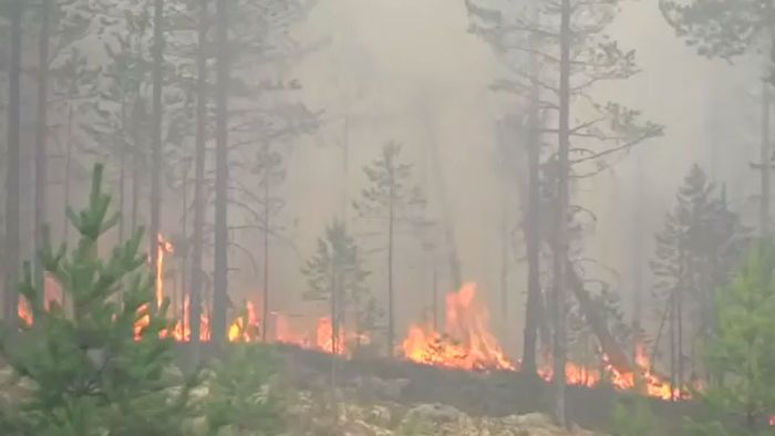 Waldbrände in Schweden