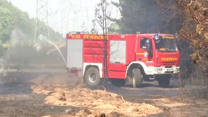 Waldbrand: Leichte Entspannung in Fichtenwalde Waldbrand: Leichte Entspannung in Fichtenwalde