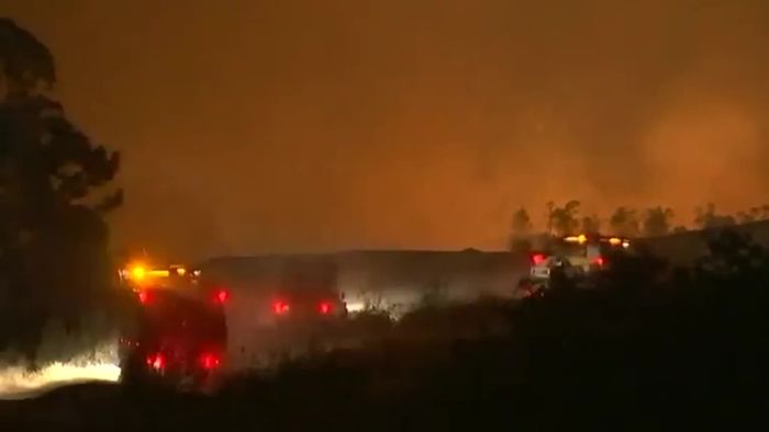 Spanien und Portugal: Intensiver Kampf gegen Waldbrände Spanien und Portugal: Intensiver Kampf gegen Waldbrände