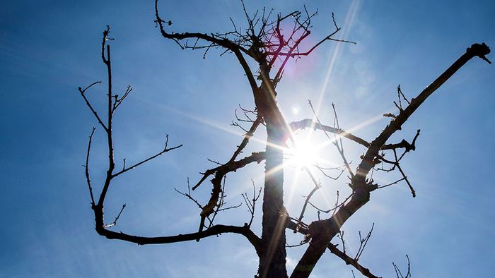 Kais Kolumne: Hitzesystem gerät nur allmählich ins Wanken