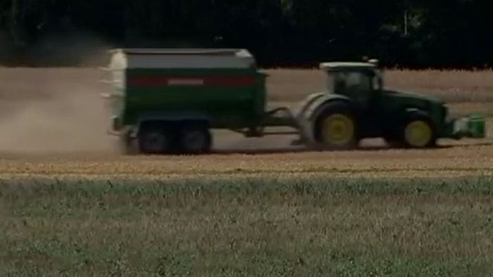 Ernteausfälle: Bund sagt Landwirten Unterstützung von 150 Millionen Euro zu Ernteausfälle aufgrund des trockenen Wetters