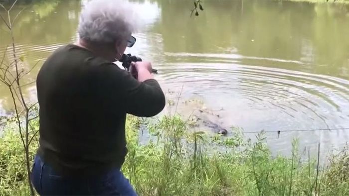 Großmutter erschießt 273-Kilo-Alligator