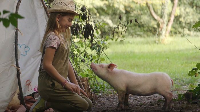Rührender Clip: Junges Mädchen und kleines Schwein sind beste Freunde