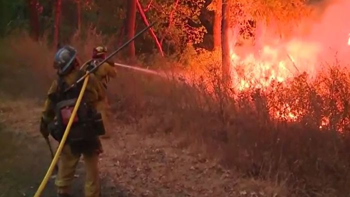 Notstand in Kalifornien: Waldbrände treffen Promi-Ort Malibu