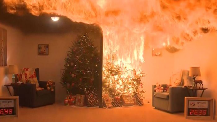 Ausgetrockneter Christbaum in Flammen