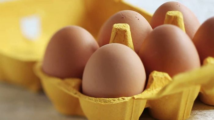 Eierkartons sollten Verbraucher am besten sofort wegwerfen.