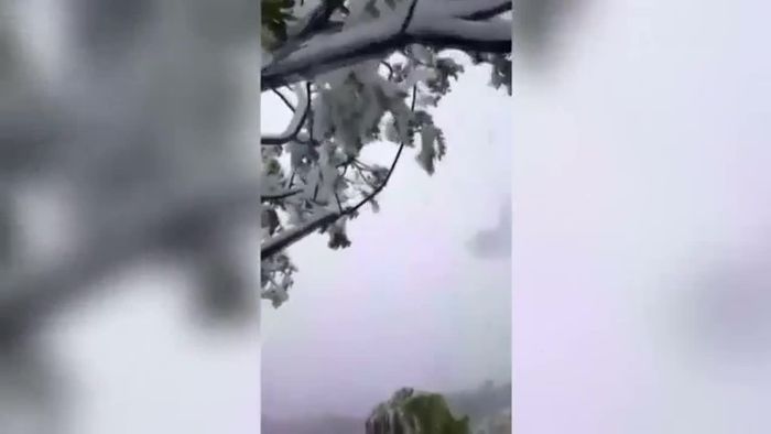 Große Überraschung: Schnee auf Hawaii