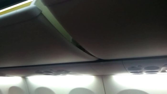 Schock im Flugzeug: Giftiger Skorpion in Gepäckablage entdeckt