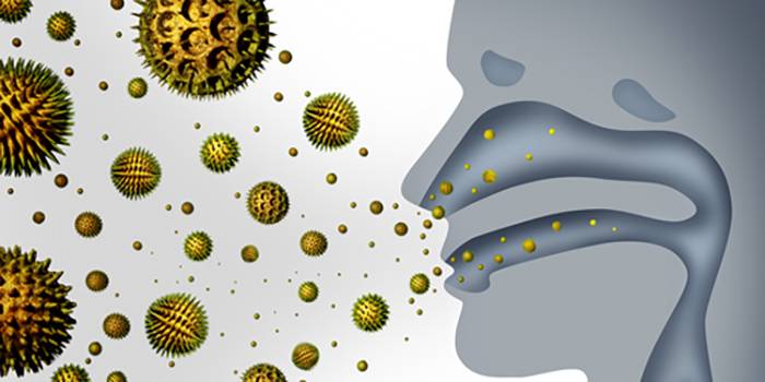 Pollenexplosion: Mit diesen Tipps überstehen Allergiker die Nächte ...