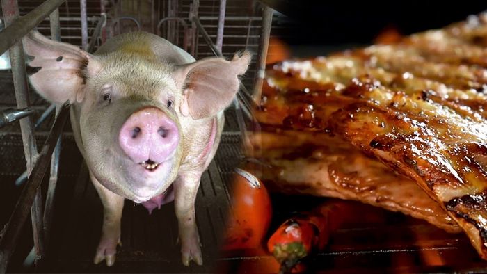 Schweinefleisch wird in Deutschland wohl teurer werden.