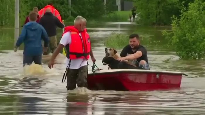 Hochwasseralarm in Polen - Tierheim überschwemmt