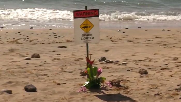 Bein abgerissen: Mann stirbt nach Hai-Attacke auf Hawaii