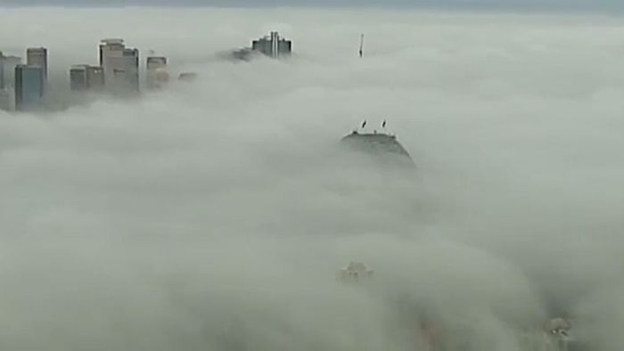 Faszinierend: Sydney verschwindet im Nebel