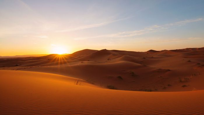 Sahara-Temperaturen in Deutschland: Das wird heftig