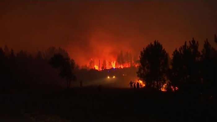 Verletzte in Portugal: Feuerwehr kämpft gegen massive Waldbrände