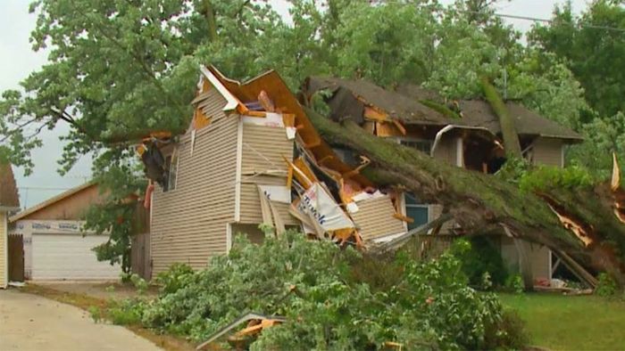 Baum kracht im Sturm auf Haus: Familie durch Zufall gerettet