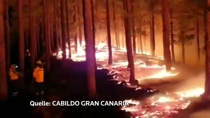 Aufatmen nach Waldbränden auf Cran Canaria