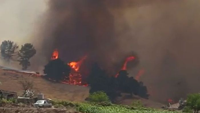 Außer Kontrolle: Verheerende Waldbrände auf Gran Canaria