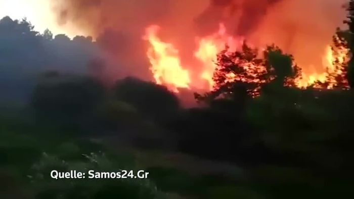 Hotels auf Samos evakuiert: Touristen müssen vor Waldbränden fliehen