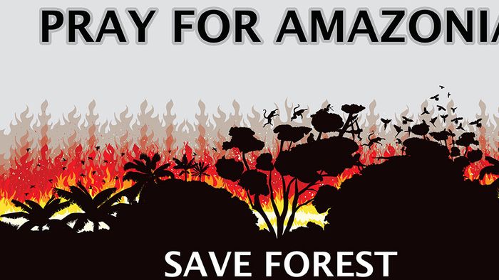 Amazonas-Katastrophe: Das Schlimmste kommt erst noch
