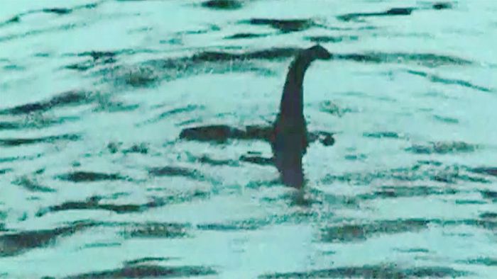 Rätsel gelöst: Monster vor Loch Ness vermutlich ein Aal