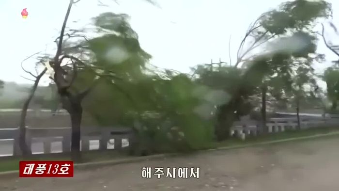 Tödliche Taifune: Korea und Japan schwer getroffen