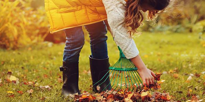 Gartenarbeit Was im September wichtig ist
