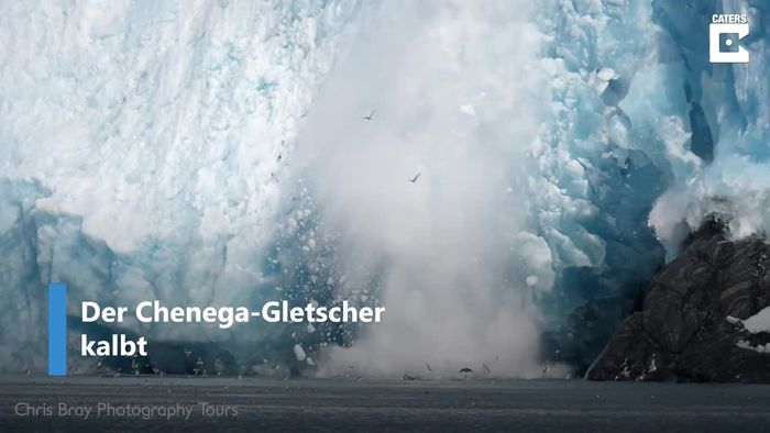 Kalbender Gletscher in Zeitlupe: Eismassen stürzen ins Meer
