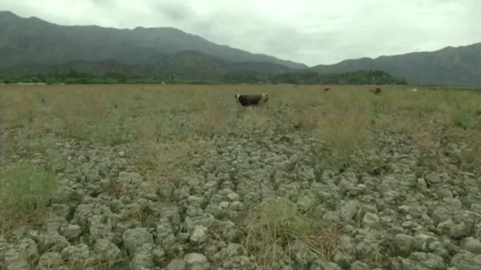 Schlimmste Dürre seit Langem: Chile leidet unter extremer Trockenheit