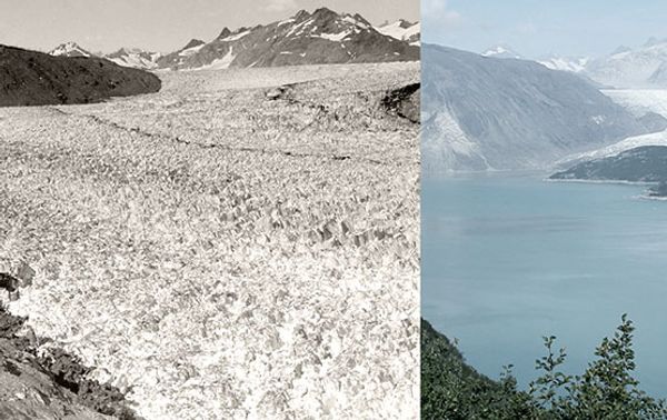 Der Muir-Gletscher in Alaska. Links eine Aufnahme aus dem August 1941, rechts eine aus dem August 2004.