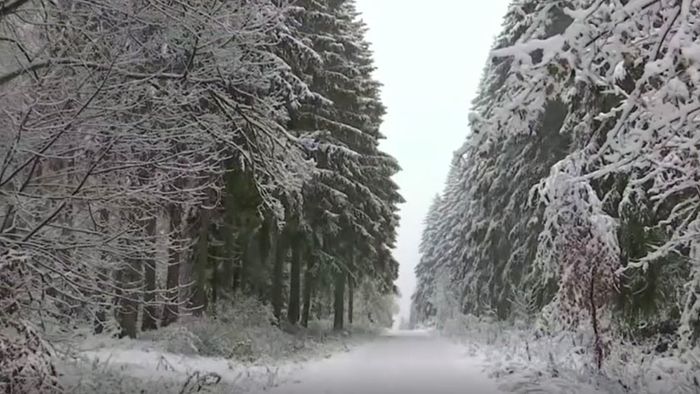 Verschneite Landschaft: Wintereinbruch in der Eifel