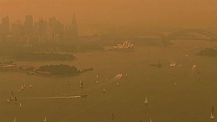 Beißender Rauch: Sydney erscheint orange