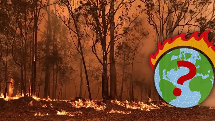 Haben Australiens Buschbrände Folgen für unser globales Klima?