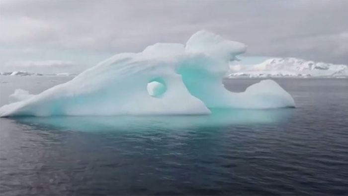Antarktis: Besorgniserregender Temperaturrekord und riesiger Eisabbruch